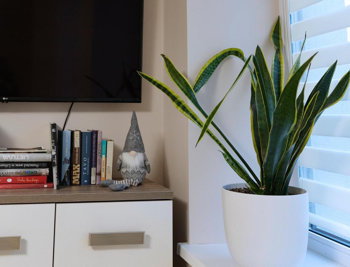 Sodu Apartment คอนัส ภายนอก รูปภาพ
